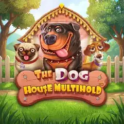 The Dog House Multihold gra w Hotline Casino dla graczy z Polski The Dog House Multihold gra w Hotline Casino dla graczy z Polski